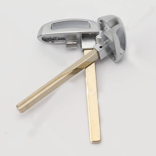 Applicable to the new Great Wall Ora good cat smart remote key shell 2021 year good cat remote control  mechanical emergency key - 5 pcs - Image 2
