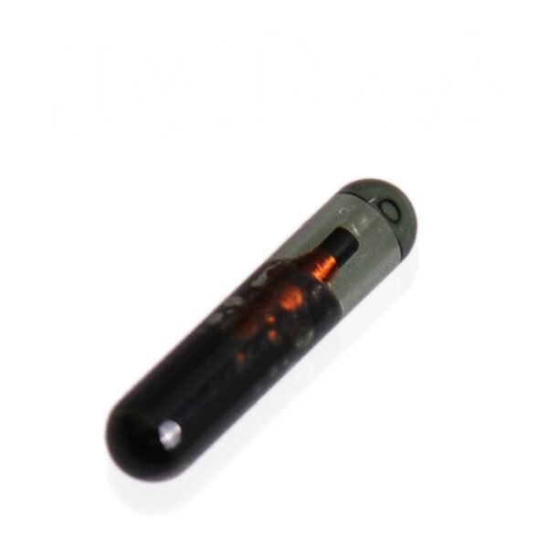 JMD 48 Chip for Handy Baby